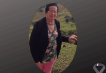 Falece Nelsa Paulino de Freitas, aos 82 anos