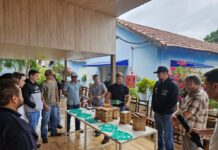 Projeto Semeando Abelhas realiza nova doação e incentiva práticas sustentáveis no Lar Beneficente Celina