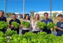 Unifev realiza doação de 100 pés de alface hidropônica para instituições sociais