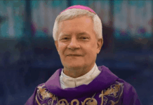 Papa Leão 14 eleva Diocese de São José do Rio Preto a arquidiocese e nomeia arcebispo