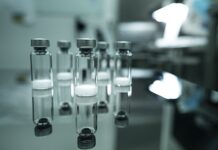 Mirassol será 1ª cidade de SP a receber vacina contra chikungunya em outubro, diz prefeitura