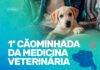 Medicina Veterinária da Unifev promove Cãominhada com adoção de cães em Votuporanga