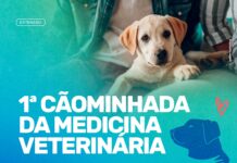 Medicina Veterinária da Unifev promove Cãominhada com adoção de cães em Votuporanga
