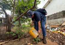 Mutirão contra a dengue chega no Pró-Povo