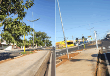 Árvores são ‘rearrancadas’ na Avenida Emílio Arroyo Hernandes