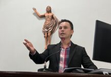 Câmara discute sepultar animais domésticos em cemitérios de Votuporanga