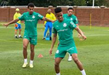 Abel monta estratégia ofensiva para enfrentar o Porto nos EUA