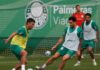 Palmeiras se reapresenta com oito desfalques e inicia preparação para a Copa do Mundo de Clubes