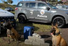 Adolescente de 15 anos é apreendido com maconha em ônibus interestadual