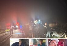 Capivara na pista causa acidente entre carros e deixa três mortos em Sebastianópolis do Sul