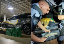 Mulher é presa com 217 quilos de maconha em rodovia de Sebastianópolis do Sul