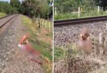 Suspeito de furtar celulares em casa tem parte da perna amputada ao tentar fugir subindo em trem