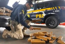 Homem é preso transportando cerca de 500 quilos de maconha em rodovia da região