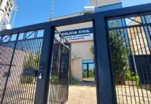 Polícia investiga caso de gato encontrado pela tutora com pernas amputadas e sinais de estrangulamento