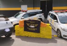 Polícia Rodoviária prende homem com quase uma tonelada de maconha em rodovia de Penápolis