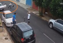 Homem é flagrado arremessando cachorra no chão em Araçatuba