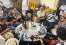 Eles não deixam o samba morrer