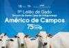 Domingo Solidário: Américo de Campos realiza 9° Leilão de Gado em prol da Santa Casa