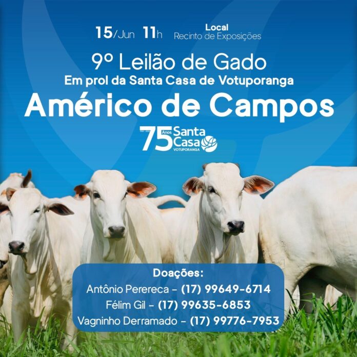 Leilão Américo
