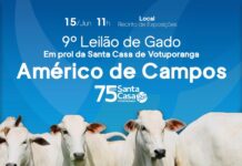 Américo de Campos realiza 9° Leilão de Gado em prol da Santa Casa