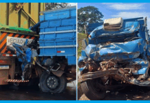 Acidente entre bi-trem e caminhão em Fernandópolis deixa motorista em estado grave