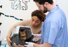 Prefeitura segue com serviço gratuito de castrações para cães e gatos