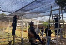 Unifev realiza doação e instalação de estrutura de sombreamento e irrigação no Recanto Tia Marlene