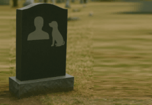 Pets – Eternamente membro da família