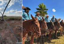 Sessão extraordinária vota desafetação de área para escola e encontro de muladeiros