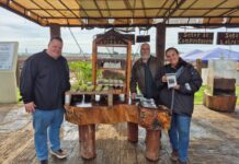 Marcão Braz realiza visita técnica à Usina Verde de Compostagem de Campinas