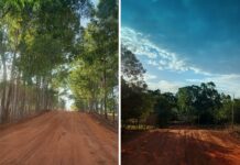 Prefeitura intensifica ações de recuperação em estradas rurais