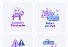 Prefeitura lança canal para denúncias de maus-tratos a animais pelo Conecta Votuporanga