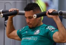 Paulinho, do Palmeiras, passa por cirurgia na perna direita e prepara retorno para 2026