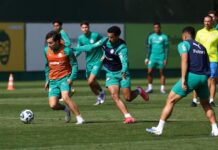 Palmeiras faz ajustes de olho no Dérbi; Felipe Anderson vai a campo