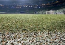 Por que Palmeiras trocará gramado do Allianz Parque antes do prazo
