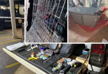 Polícia Ambiental desmantela esquema de rinha de galo em Fernandópolis