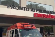 Motociclista morre no HB de Rio Preto após atropelar bezerro solto em rodovia de Mira Estrela