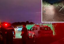 Corpo em estado de decomposição é encontrado em canavial em Rio Preto