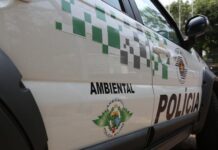 Polícia Ambiental deflagra Operação “Guardiões da Floresta”