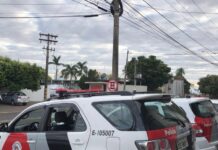 Briga entre cães termina com vizinhos feridos e animal esfaqueado em São José do Rio Preto