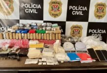 Polícia Civil apreende 80 quilos de drogas na região de Birigui