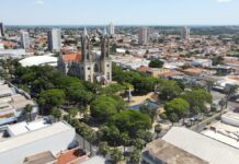 Defesa Civil alerta para umidade crítica e risco de queimadas