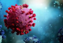 Covid-19: nova variante é confirmada em São Paulo e no Ceará