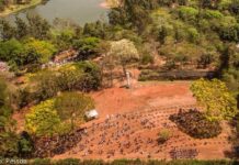 Carlim Despachante pede reativação do Horto Florestal para lazer e educação ambiental