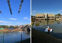 Parque da Cultura: tirolesa e pedalinhos serão inaugurados nesta sexta-feira