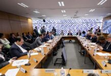 Câmara apresenta texto sobre adultização infantil nas redes em 30 dias