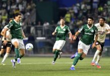 Palmeiras bate meta com vaga na Libertadores e chega a quase R$ 45 milhões em premiação