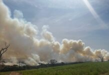 Queimada causa queda de energia em Votuporanga e região