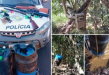 Caçador é preso por posse irregular de arma de fogo e licença vencida em Cardoso