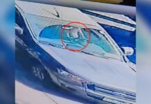 Mulher nua que estava no colo de juiz aposentado em acidente que matou ciclista diz que tentou assumir direção